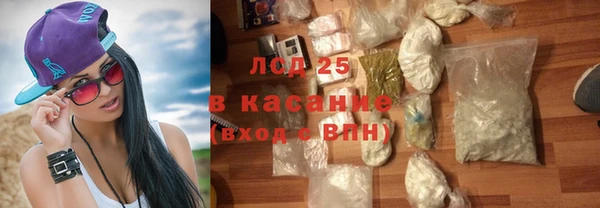 прущие грибы Балахна