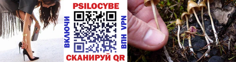 Псилоцибиновые грибы Psilocybine cubensis  как найти закладки  Весьегонск 