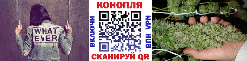 Бошки Шишки конопля Весьегонск